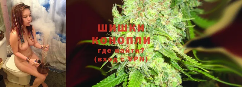 Бошки марихуана THC 21%  Киселёвск 